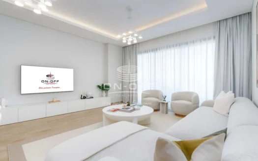 Biggest layout fully furnished with park view Vacant property