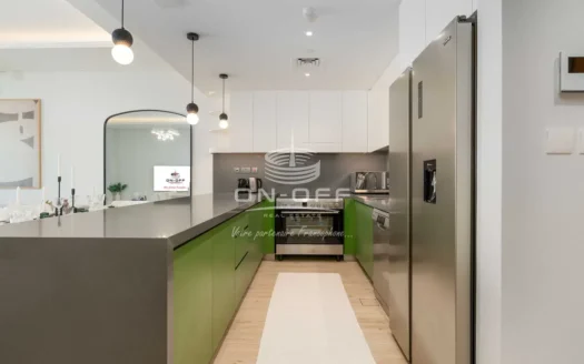 Biggest layout fully furnished with park view Vacant property
